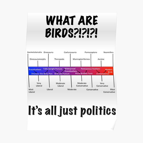 Bird Political Spectrum Poster For Sale By Adinosauraday Redbubble