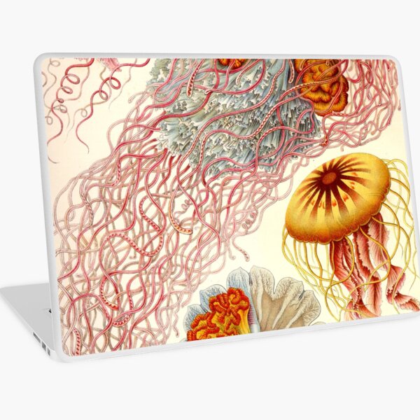 Jellyfish - Ernst Haeckel Laptop Skin