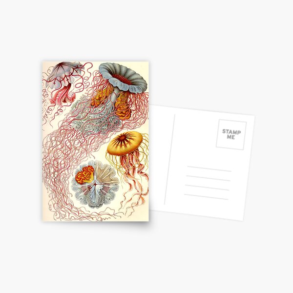 Item preview, Jellyfish - Ernst Haeckel  designed and sold by billythekidtees.