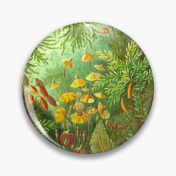 Item preview, Moss - Ernst Haeckel  designed and sold by billythekidtees.