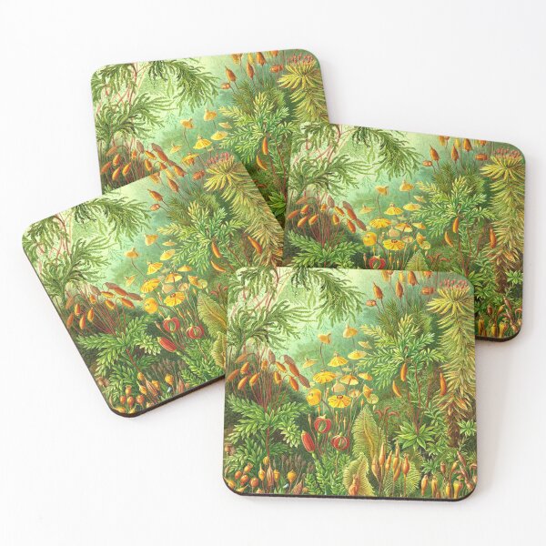Item preview, Moss - Ernst Haeckel  designed and sold by billythekidtees.