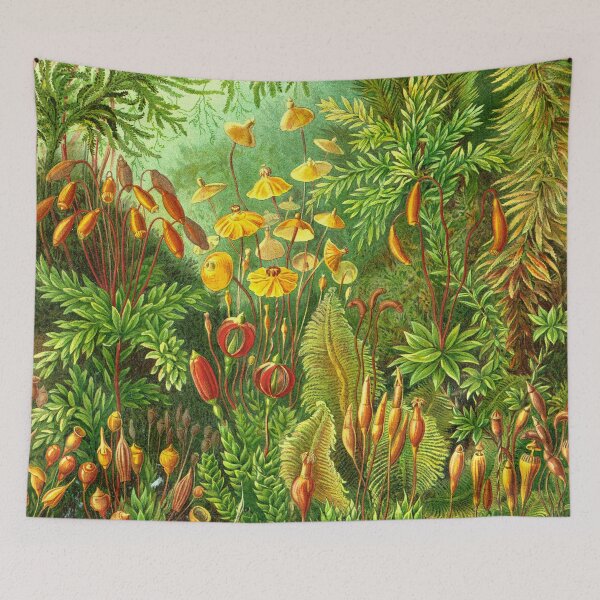 Item preview, Moss - Ernst Haeckel  designed and sold by billythekidtees.