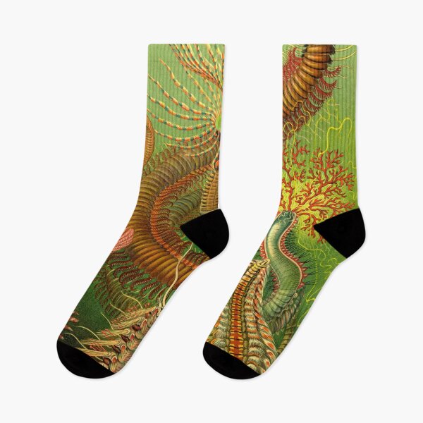 Item preview, Sea Worms - Ernst Haeckel designed and sold by billythekidtees.