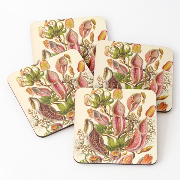Item preview,  Pitcher Plant -  Ernst Haeckel designed and sold by billythekidtees.