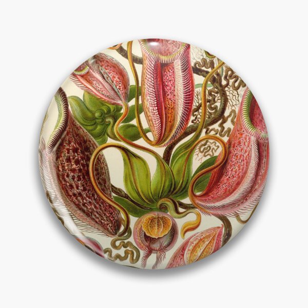 Item preview,  Pitcher Plant -  Ernst Haeckel designed and sold by billythekidtees.