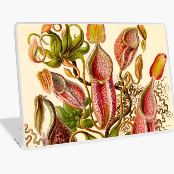 Item preview,  Pitcher Plant -  Ernst Haeckel designed and sold by billythekidtees.