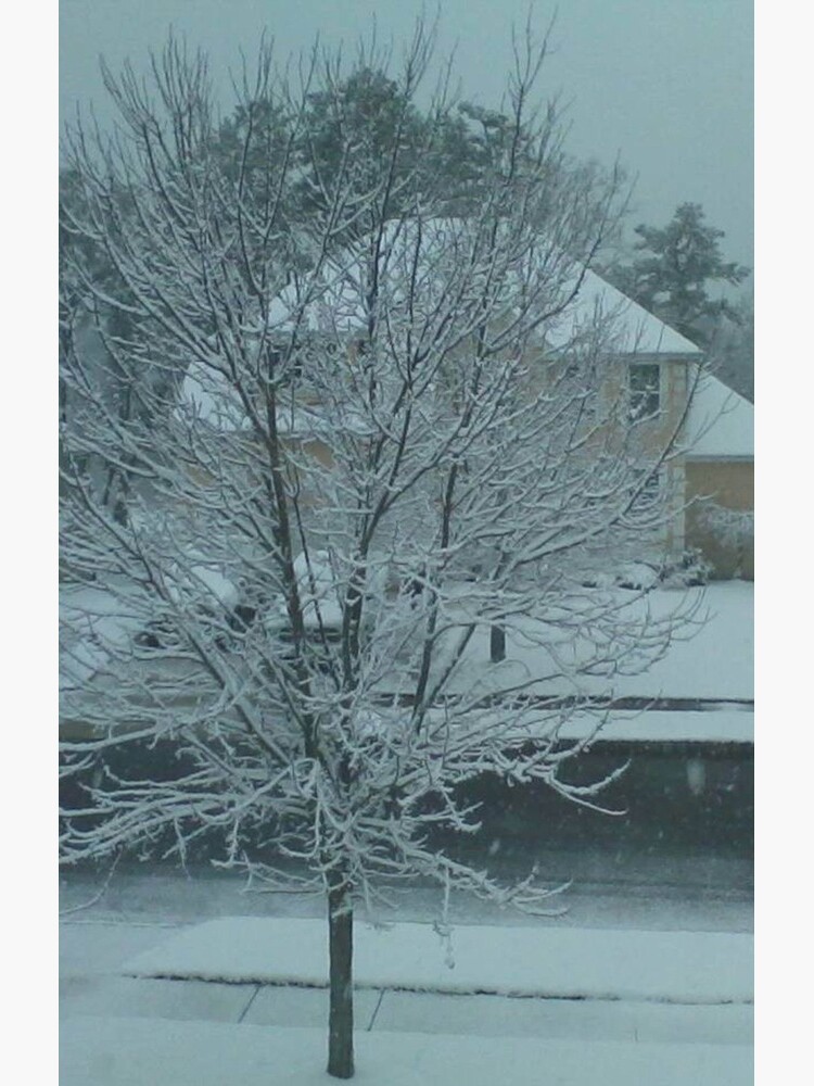 Thumbnail 4 of 4, Samsung Galaxy Phone Case, Snow Tree designed and sold by storecee.