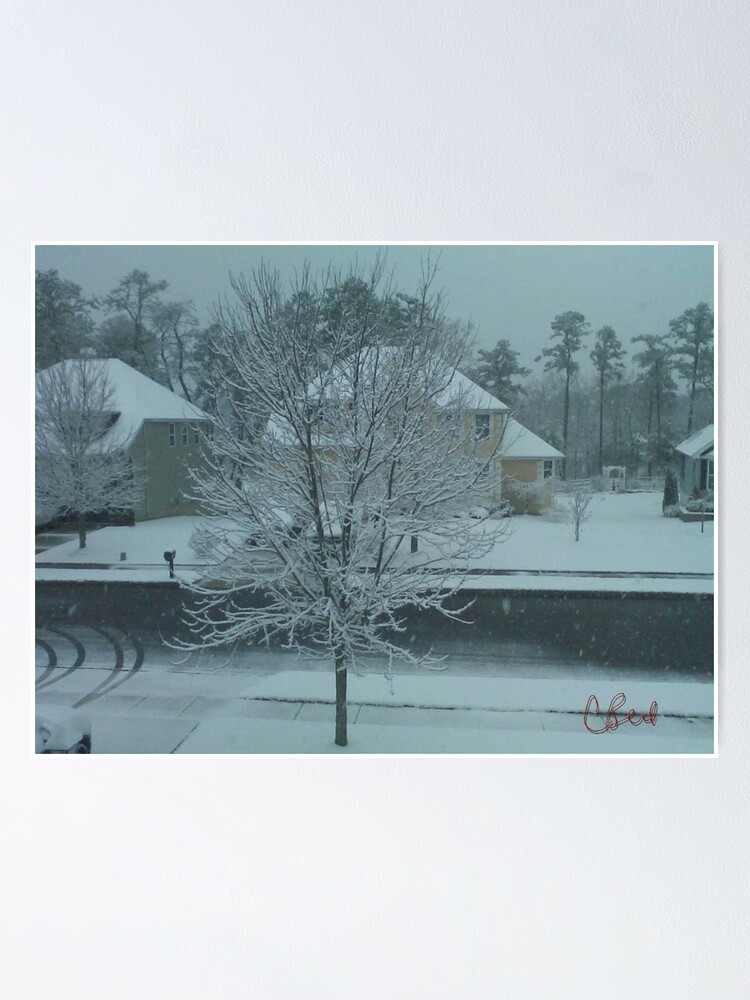 Thumbnail 1 of 3, Poster, Snow Tree designed and sold by storecee.