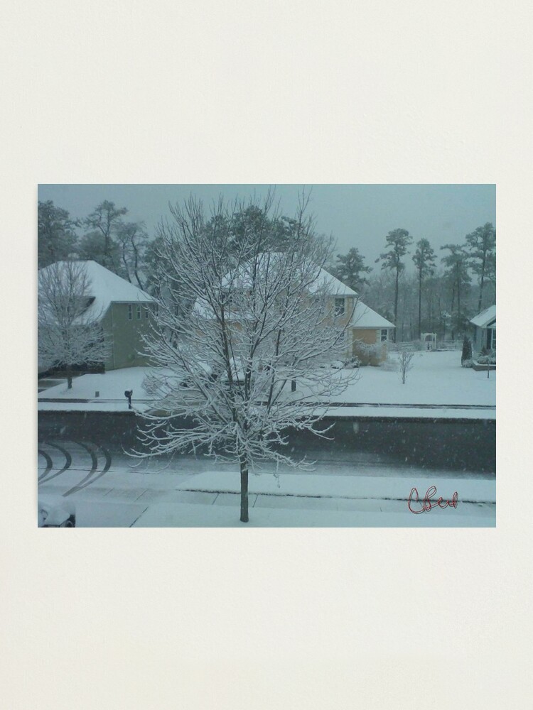 Thumbnail 1 of 3, Photographic Print, Snow Tree designed and sold by storecee.