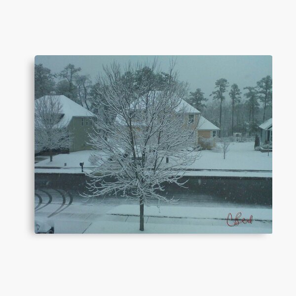 Canvas Print