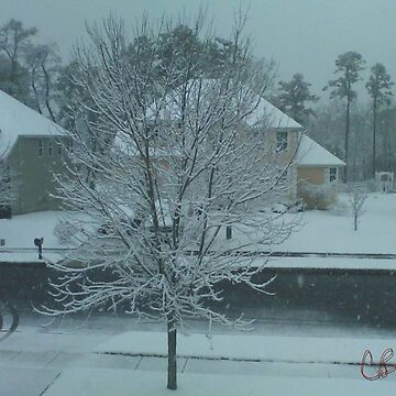 Artwork thumbnail, Snow Tree by storecee