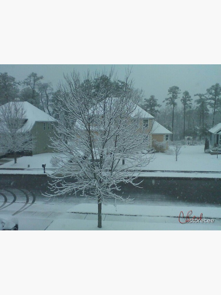 Thumbnail 3 of 3, Magnet, Snow Tree designed and sold by storecee.
