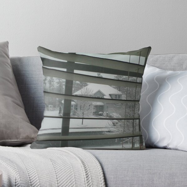 Throw Pillow