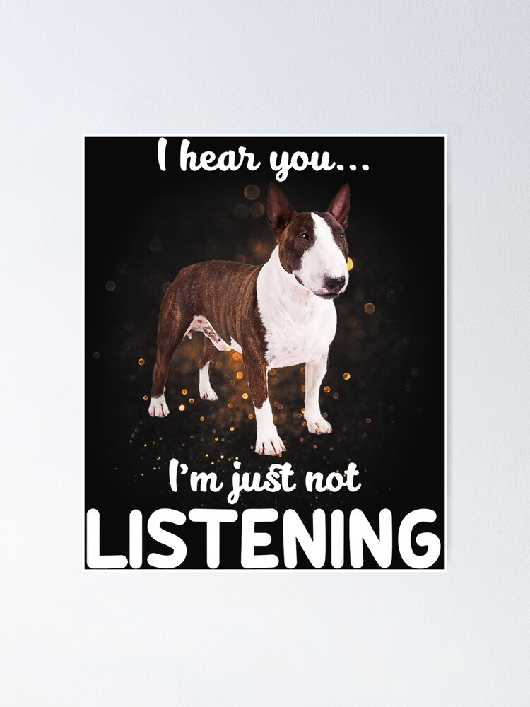 Bull terrier in sales not