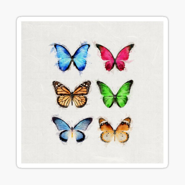 Colorful Butterflies Sticker