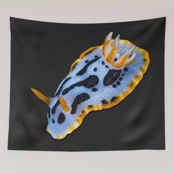 Item preview, Kawaii SeaBunny (Nudibranch) - Blue Ghost designed and sold by miTeless seDign.