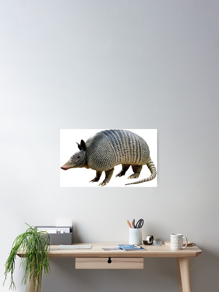 Armadillo! Poster