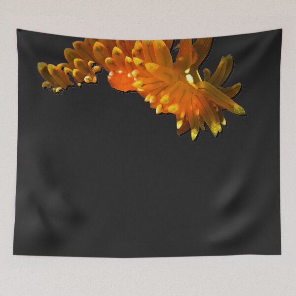 Item preview, Kawaii SeaBunny (Nudibranch) - Lemon-Tipped Orange designed and sold by miTeless seDign.