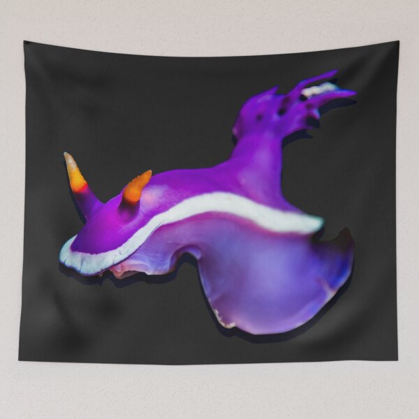 Item preview, Kawaii SeaBunny (Nudibranch) - Orchid Fan designed and sold by miTeless seDign.