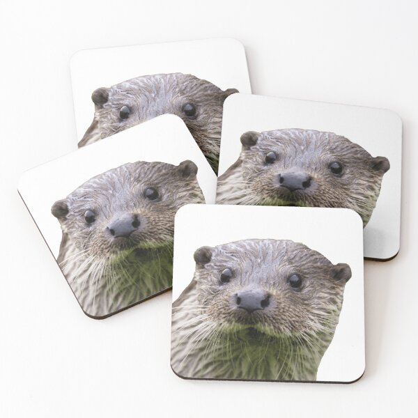 Item preview, Otter designed and sold by DoodleDashCollective.