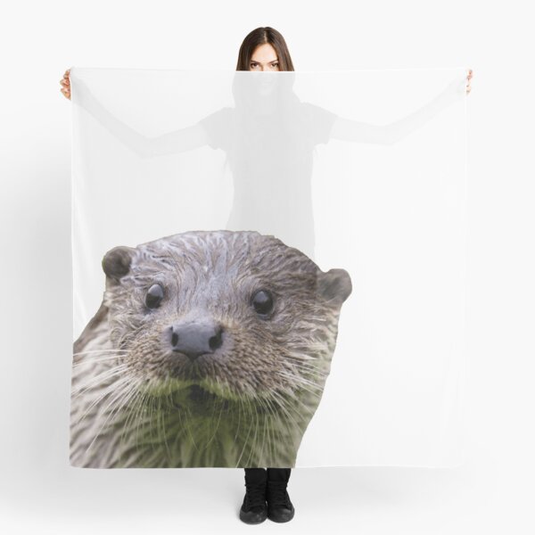 QBahoe Tiny Otters Sushi Otter Scarf for Women Men Lightweight Unisex Fashion Soft Winter Scarves Shawl Wraps QBahoe Tiny Otters Sushi Otter Scarf for Women Men Lightweight Unisex Fashion Soft Winter Scarves Shawl Wraps