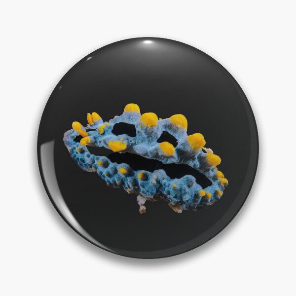 Item preview, Kawaii SeaBunny (Nudibranch) - Gold Dust designed and sold by miTeless seDign.
