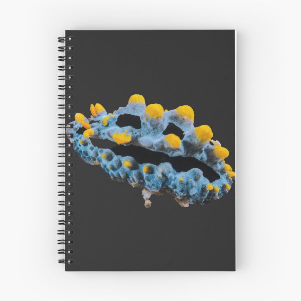 Item preview, Kawaii SeaBunny (Nudibranch) - Gold Dust designed and sold by miTeless seDign.