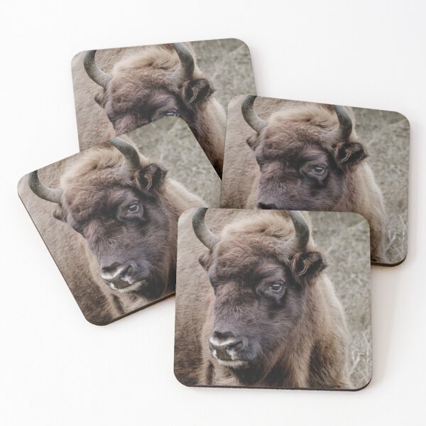 Item preview, European bison portrait designed and sold by Melissa Peltenburg.