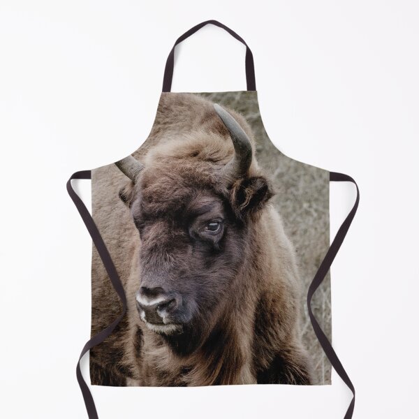 Aperçu de l'œuvre Portrait de bison d'Europe créée et vendue par Melissa Peltenburg.
