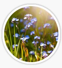 Forget me not Sticker