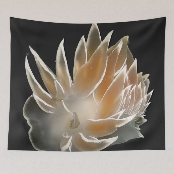 Item preview, Kawaii SeaBunny (Nudibranch) - Vanilla Cream designed and sold by miTeless seDign.