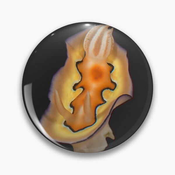 Item preview, Kawaii SeaBunny (Nudibranch) - Sunset Sea designed and sold by miTeless seDign.