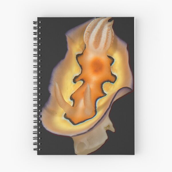 Item preview, Kawaii SeaBunny (Nudibranch) - Sunset Sea designed and sold by miTeless seDign.