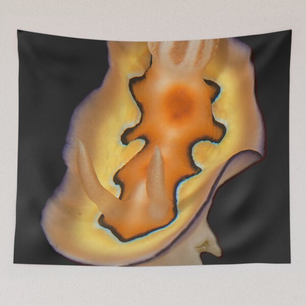 Item preview, Kawaii SeaBunny (Nudibranch) - Sunset Sea designed and sold by miTeless seDign.