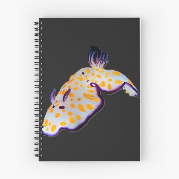 Item preview, Kawaii SeaBunny (Nudibranch) - SunSpot designed and sold by miTeless seDign.