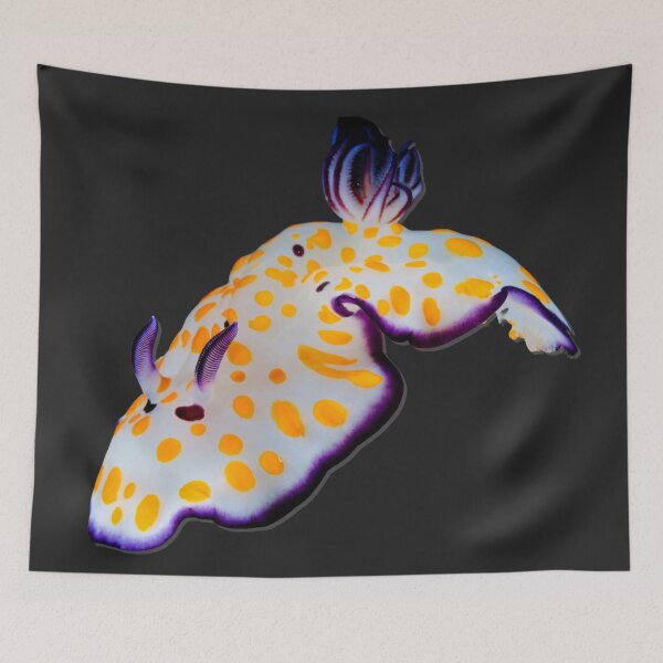 Item preview, Kawaii SeaBunny (Nudibranch) - SunSpot designed and sold by miTeless seDign.