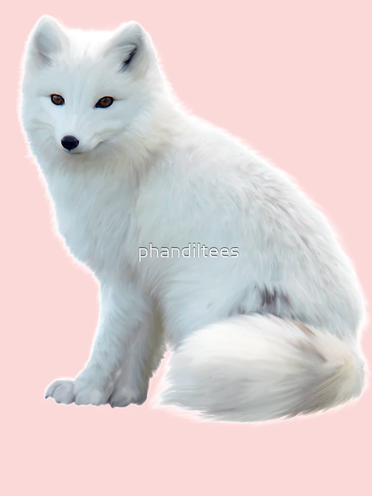 Arctic fox