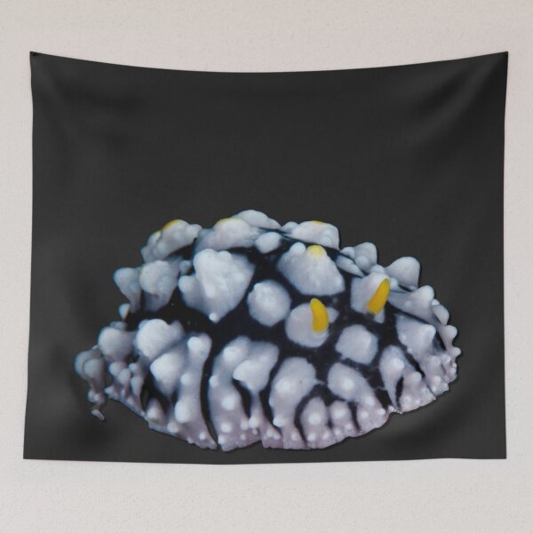 Item preview, Kawaii SeaBunny (Nudibranch) - ThunderCloud designed and sold by miTeless seDign.