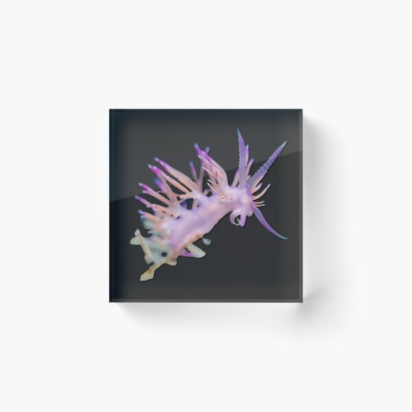 Item preview, Kawaii SeaBunny (Nudibranch) - Lavender Dragon designed and sold by miTeless seDign.