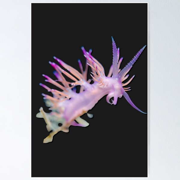 Item preview, Kawaii SeaBunny (Nudibranch) - Lavender Dragon designed and sold by miTeless seDign.