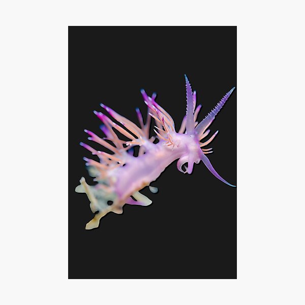 Item preview, Kawaii SeaBunny (Nudibranch) - Lavender Dragon designed and sold by miTeless seDign.