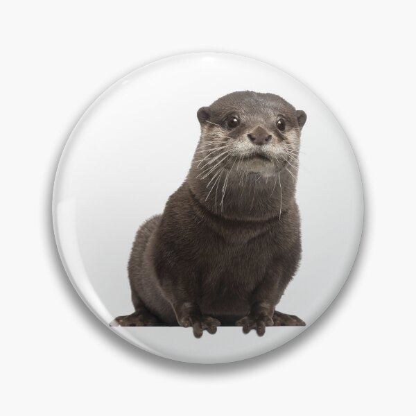 Item preview, Otter designed and sold by DoodleDashCollective.