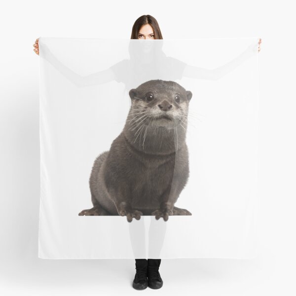 QBahoe Tiny Otters Sushi Otter Scarf for Women Men Lightweight Unisex Fashion Soft Winter Scarves Shawl Wraps QBahoe Tiny Otters Sushi Otter Scarf for Women Men Lightweight Unisex Fashion Soft Winter Scarves Shawl Wraps