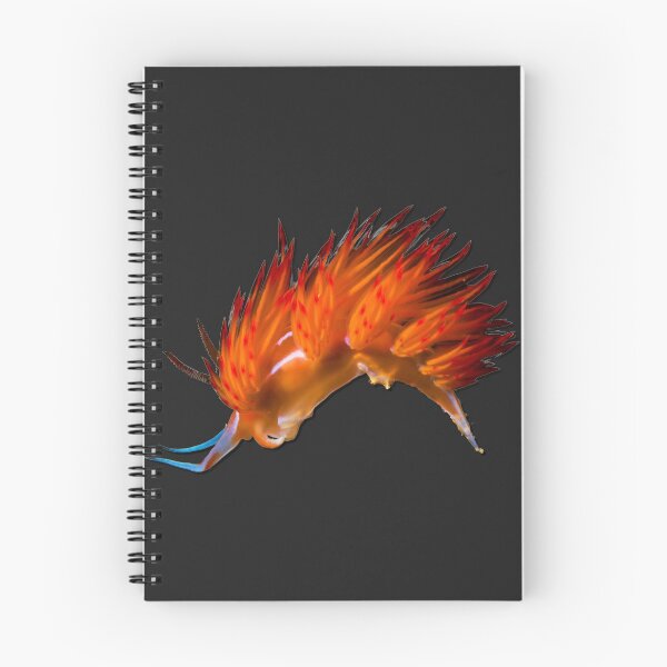 Item preview, Kawaii SeaBunny (Nudibranch) - Lion's Mane designed and sold by miTeless seDign.