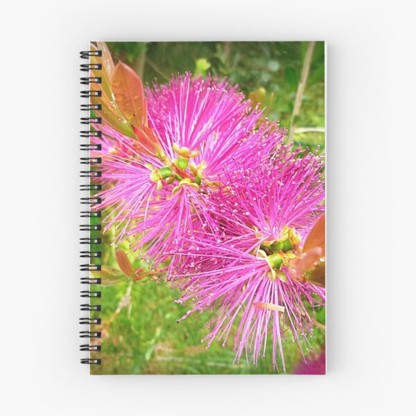 Item preview, *Judith Anne BottleBrush on the farm - Kirkstall, Vic.* designed and sold by EdsMum.