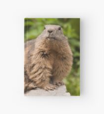 Marmota Marmota Hardcover Journal