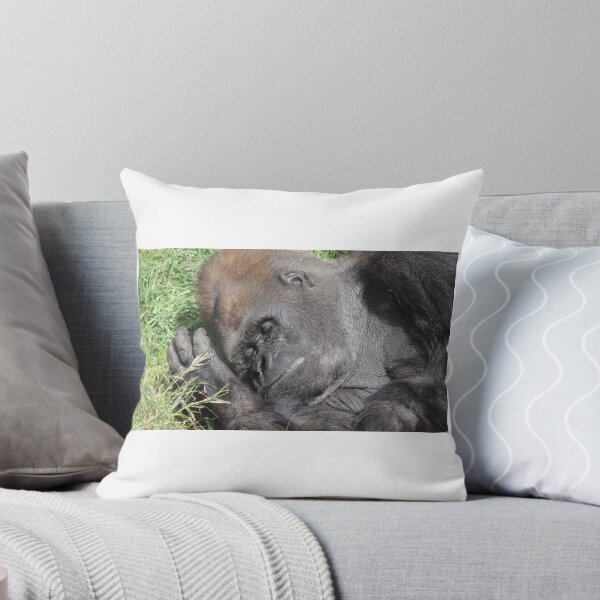 Item preview, Caught Him Sleeping designed and sold by LovesAnimals.
