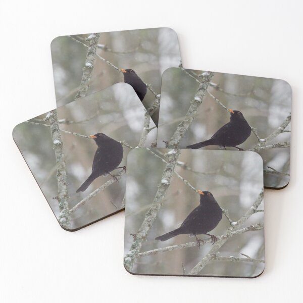 Item preview, Eurasian blackbird getting curious designed and sold by Jouko Lehto Photography.