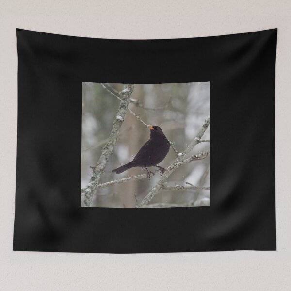 Item preview, Eurasian blackbird getting curious designed and sold by Jouko Lehto Photography.