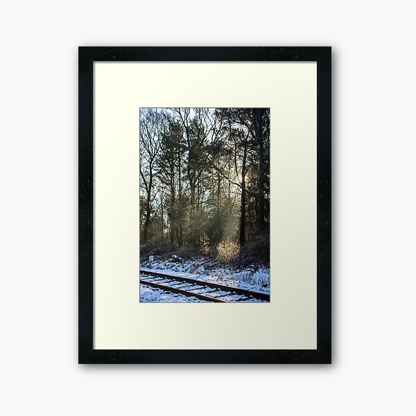 Item preview, Sutton Park Winter Sun designed and sold by James Stokes.